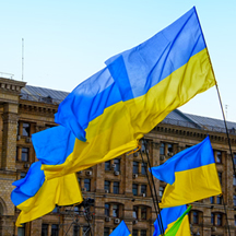 Pension annuities rise possible