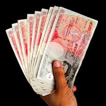 Pensioner annuity income rise